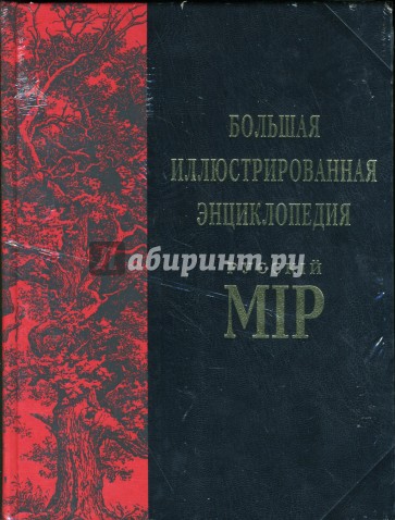 Большая иллюстрированная энциклопедия Русскiй Мiр. Том 6