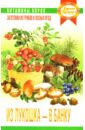 Из лукошка - в банку: Заготовки из грибов и лесных ягод - Баринова Г.А.