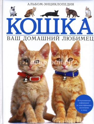 Кошка. Ваш домашний любимец. Альбом - энциклопедия