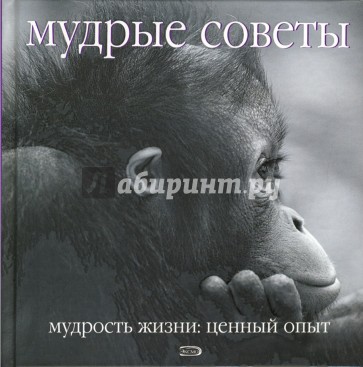 Мудрые советы. Мудрость жизни: Ценный опыт