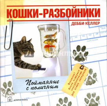 Кошки-разбойники