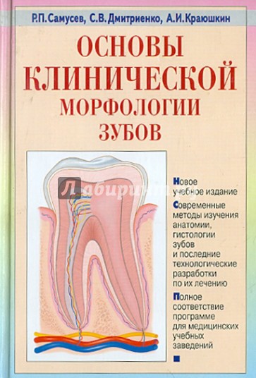 Основы клинической морфологии зубов