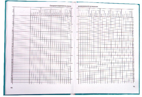 Заполнение школьного журнала образец