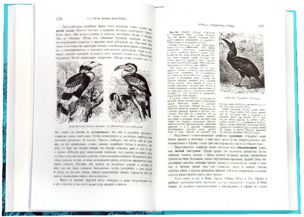 Иллюстрация 1 из 7 для Жизнь животных. В трех томах. Том 2: Птицы - Альфред Брэм | Лабиринт - книги. Источник: Лабиринт