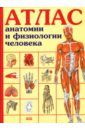 баклакова ю атлас анатомии и физиологии человека Баклакова Ю. Атлас анатомии и физиологии человека