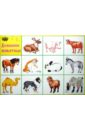 Плакат Домашние животные (50х70 см) набор игрушек для ванны курносики свинья и корова