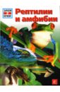 Никиш Манфред Рептилии и амфибии динозавры рептилии амфибии