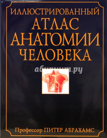 Иллюстрированный атлас анатомии человека. Полное описание жизнедеятельности тела человека