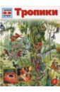 Мертини Андреа Тропики книга тц сфера 500 загадок обо всем для детей 2 е издание