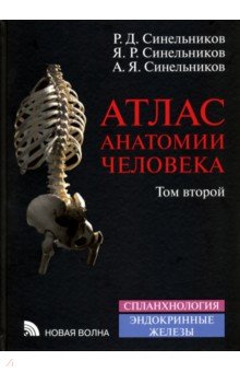 Атлас анатомии человека. Учебное пособие. В 4-х томах. Том 2