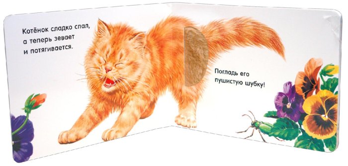 Иллюстрация 2 из 2 для Погладь пушистых малышей! Котята | Лабиринт - книги. Источник: Лабиринт