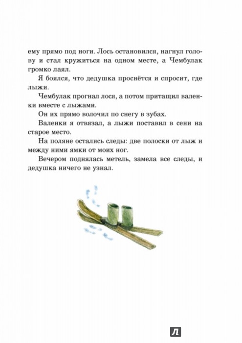 Иллюстрация 3 из 35 для Охотничьи истории - Геннадий Снегирев | Лабиринт - книги. Источник: Лабиринт