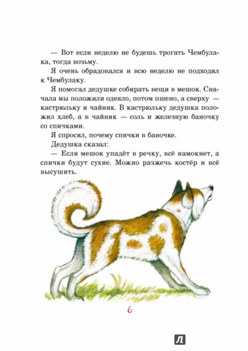 Иллюстрация 6 из 35 для Охотничьи истории - Геннадий Снегирев | Лабиринт - книги. Источник: Лабиринт