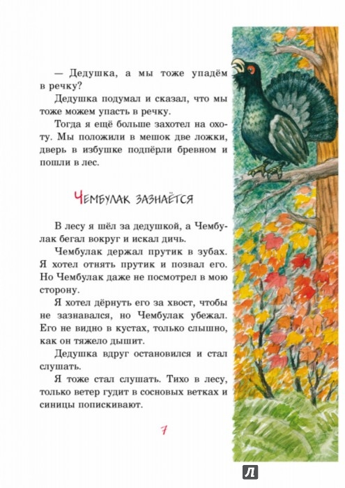 Иллюстрация 7 из 35 для Охотничьи истории - Геннадий Снегирев | Лабиринт - книги. Источник: Лабиринт