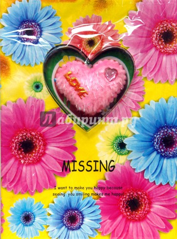 Книга для записей (подарочная упаковка) (GZ-32329)