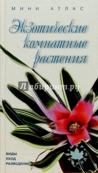 Экзотические комнатные растения