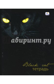 Тетрадь 48 листов клетка (ТКБ8481612) Стильные кошки. Черная.