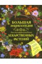 Мазнев Николай Иванович Большая энциклопедия высокоэффективных лекарственных растений