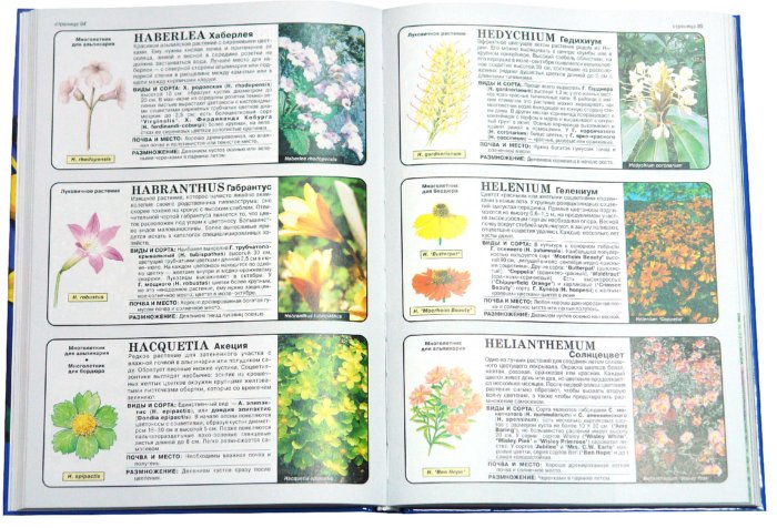 Иллюстрация 1 из 22 для Все о цветах в вашем саду - Дэвид Хессайон | Лабиринт - книги. Источник: Лабиринт