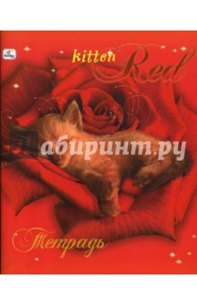 Тетрадь 48 листов клетка (ТКБ8481376) Рыжий котенок.