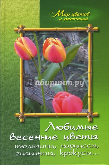 Любимые весенние цветы (тюльпаны, нарциссы, гиацинты, крокусы и другие)