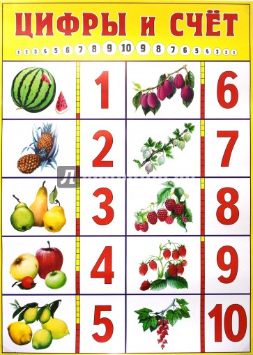 Плакат: Цифры и счет 50х70см