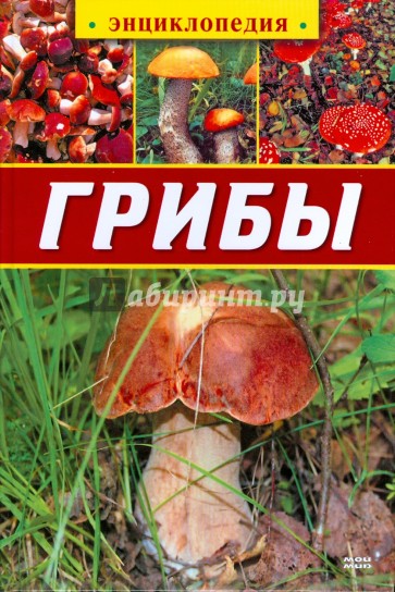 Грибы. Энциклопедия