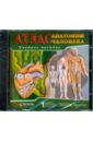 Атлас анатомии человека (CD).