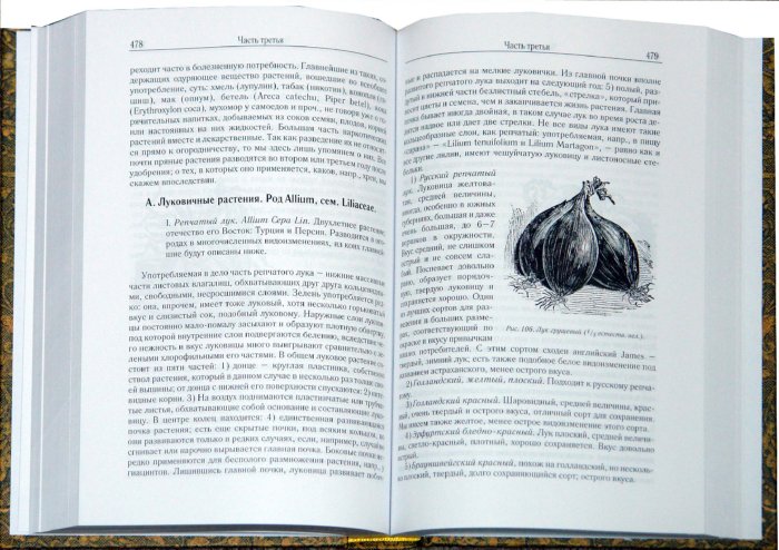 Иллюстрация 1 из 15 для Русский огород, питомник и плодовый сад - Рихард Шредер | Лабиринт - книги. Источник: Лабиринт