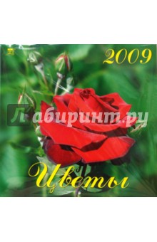 Календарь 2009 Цветы (70801).