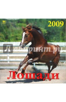 Календарь 2009 Лошади (70803).