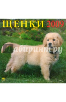 Календарь 2009 Щенки (70806).