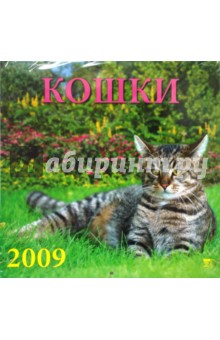Календарь 2009 Кошки (70821).