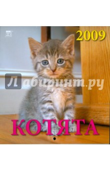 Календарь 2009 Котята (30805).