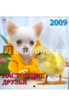 Календарь 2009 Настоящие друзья (30809).