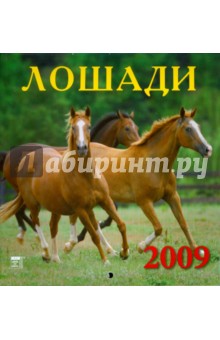 Календарь 2009 Лошади (30811).
