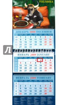 Календарь 2009 Жизнь удалась (14801).