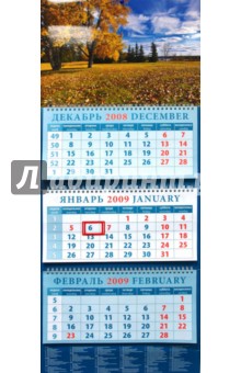 Календарь 2009 Прекрасный вид (14813).