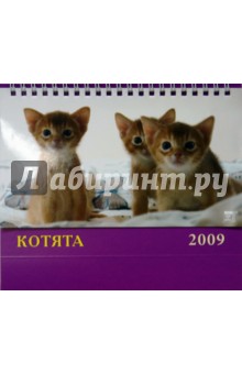 Календарь 2009 Котята (19805).