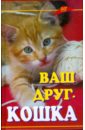 Кубышко Ольга Ваш друг - кошка листопад ольга ваш кот