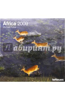 Календарь Африка 2009 (2858-8).