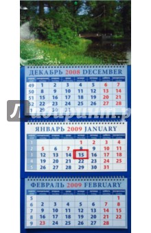 Календарь 2009 Пейзаж с мостиком (16812).