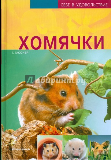 Хомячки