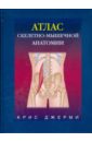 Джерми Крис Атлас скелетно-мышечной анатомии джерми крис тайцзи цигун теория и практика