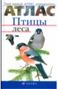 Птицы леса - Бровкина Евгения Тихоновна, Сивоглазов Владислав Иванович
