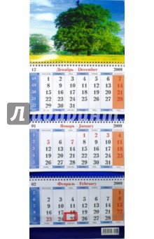 Календарь 2009 Дерево (16).