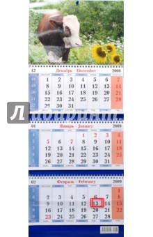 Календарь 2009 Бык. Подсолнух (6).
