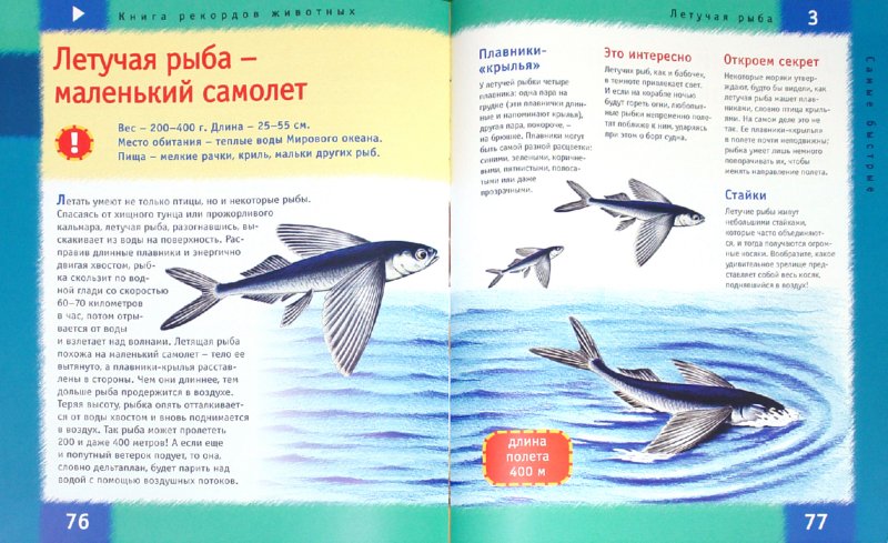 Иллюстрация 1 из 20 для Книга рекордов животных | Лабиринт - книги. Источник: Лабиринт
