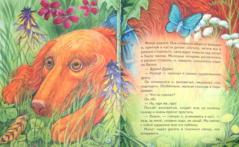 Иллюстрация 1 из 37 для Про птиц и зверей - Михаил Пришвин | Лабиринт - книги. Источник: Лабиринт
