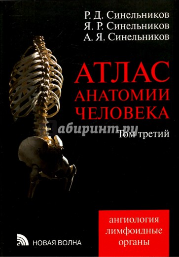 Атлас анатомии человека. В 4-х томах. Том 3. Учение о сосудах и лимфоидных органах